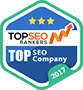 Named #1 Digital Agency in Many Countries! - 球盟会体育