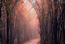 球盟会官网：琼托利：所有人都希望共同走出困境，一起思考解决问题.