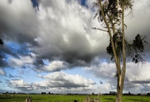 球盟会官网：[中超]王燊超传中 武磊后点头球梅开二度.