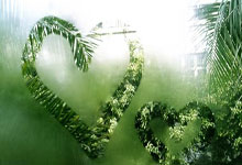 球盟会官网：岁月催人变老，我与时间赛跑！春锦赛达标，孙杨期待再战全运.