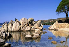 首席跟队：埃默松已经开始在沙地上恢复跑步训练.